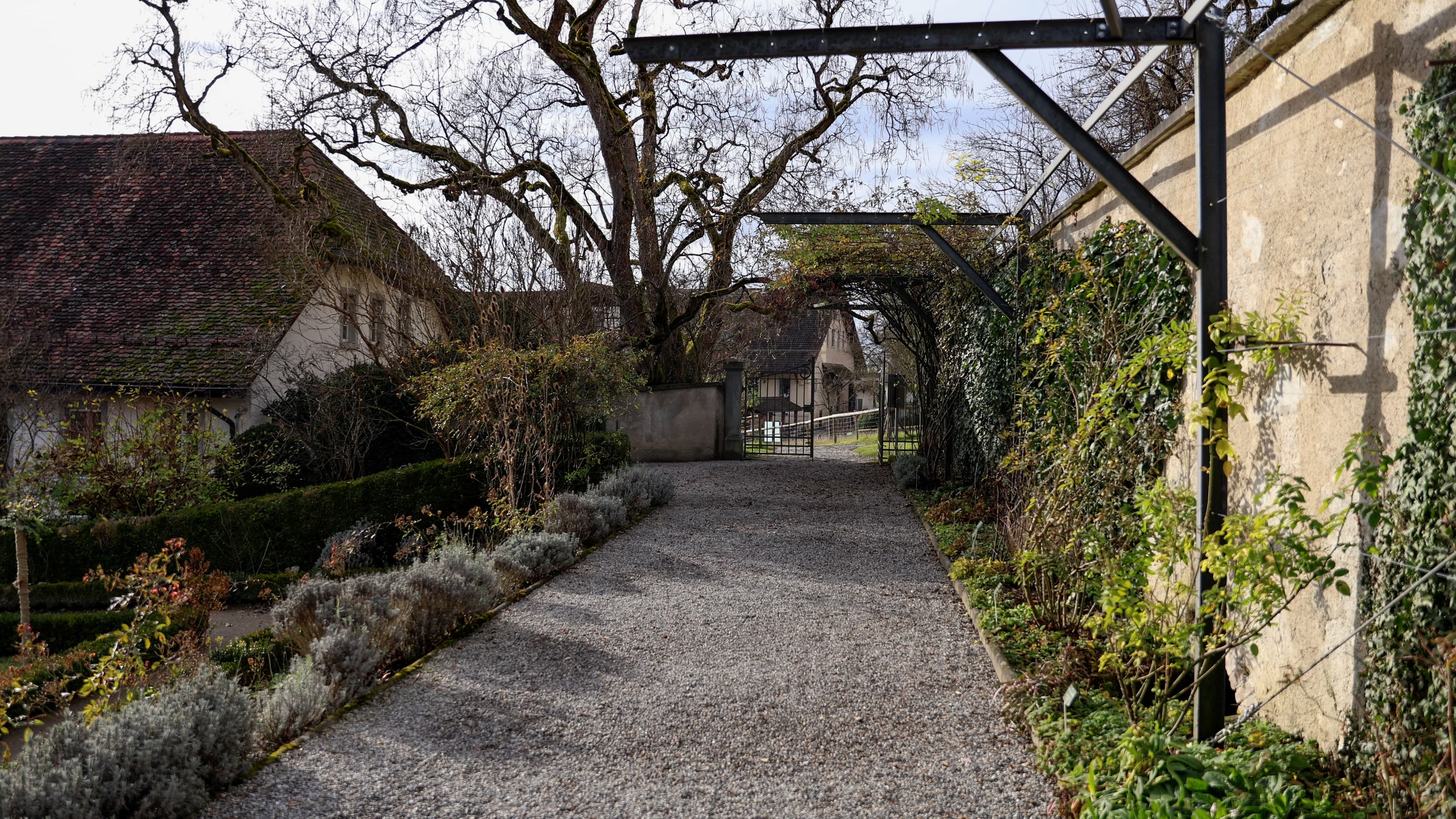 Kartause Ittingen Landschaft
